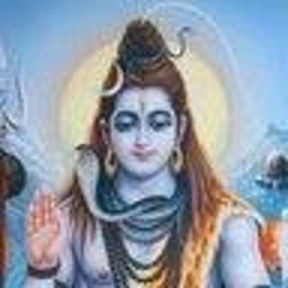 Meet your Posher, Fred - Picture 1 of 1